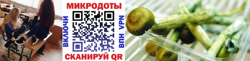Галлюциногенные грибы мухоморы  мега как войти  Киреевск 